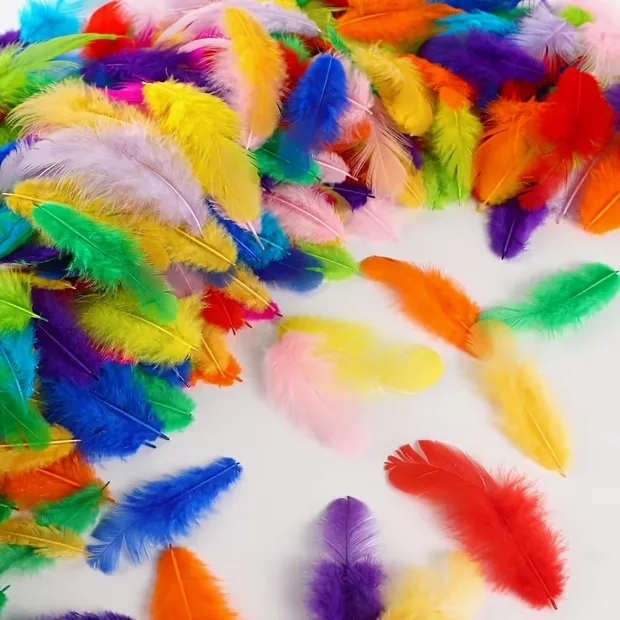 Craft Feathers – 100 Mixed