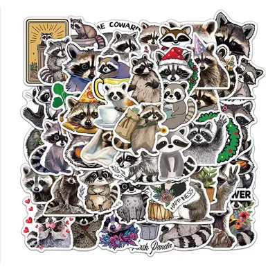 Raccoon Sticker Pack – 50